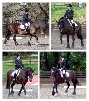 Showing entry, Oliver and Bailey