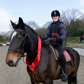 Prize sash and rosettes