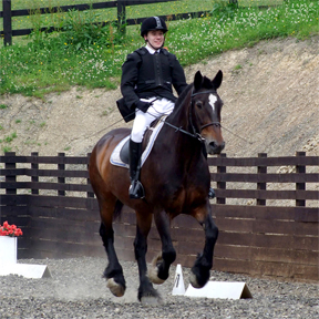 Showing entry, Oliver and Bailey