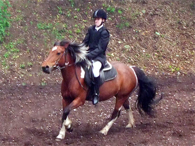 Walk/Trot/Canter Dressage