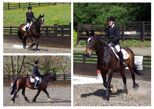 Showing entry - Condition & Turnout