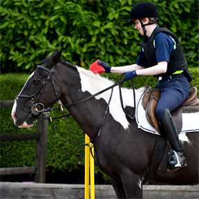 Working Trails, First Place