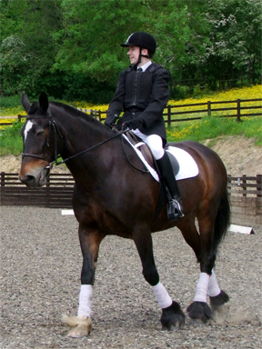 Oliver and Bailey - Virtus Dressage, FOURTH