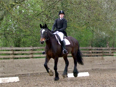 Oliver and Bailey