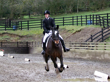 Novice A Dressage, Performance Level SIXTH
