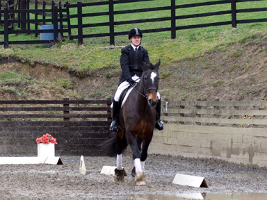 Oliver and Bailey, FEI Grade 4 Novice A