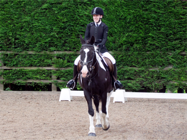 Oliver and Karl, Dressage
