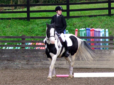 Novice B Dressage, Performance Level