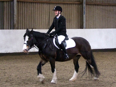 Level B Dressage