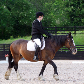 Oliver and Santina