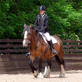 RDA National Dressage Anywhere Champion 2025