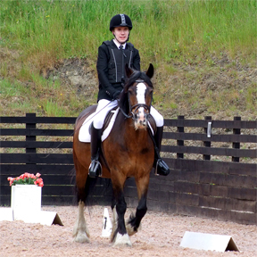 Grade 4 Championship test