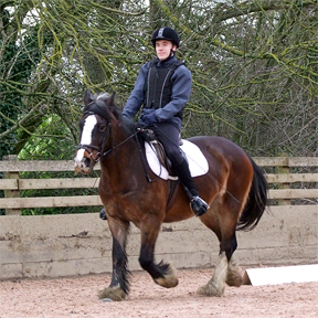 Grade 4 Championship Test - FIRST PLACE