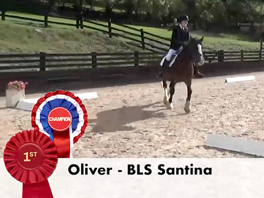Oliver and BLS Santina, event livestream