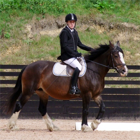 National Freestyle Champions Oliver and BLS Santina, performing to a medley of seafaring 
music