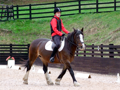 Grade 4 Championship Test - FIRST PLACE