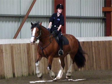 World's Biggest Riding Lesson