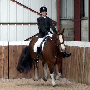 Grade III Dressage