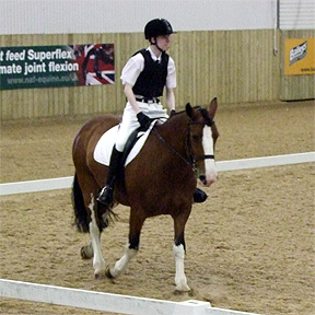 Grade III Freestyle to Music