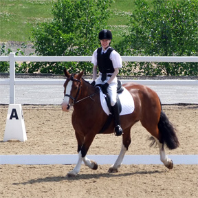 Grade III Championship Dressage