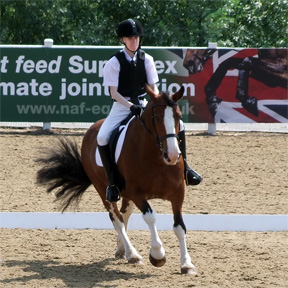 Canter transition