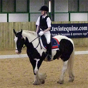 Dressage Level 'A'