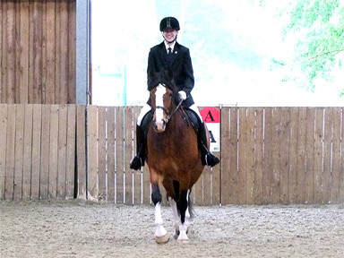 Dressage