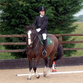 Dressage