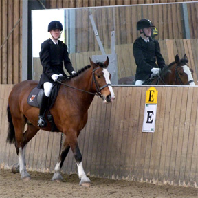 Dressage