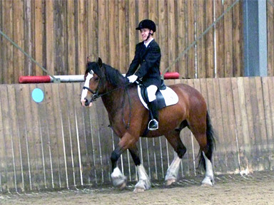 Dressage