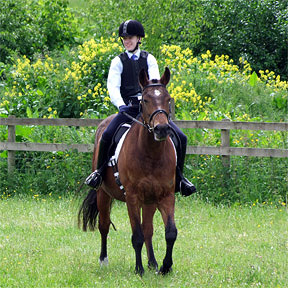 Countryside Challenge