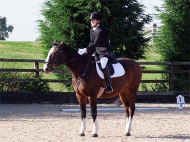 Dressage