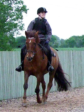 trot