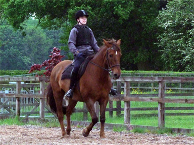 Oliver and Paddy