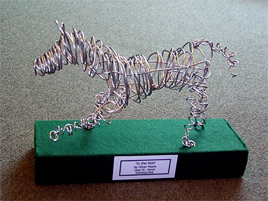 A study in wire