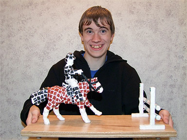 RDA showjumping