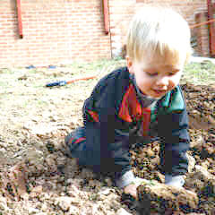 Oliver digging Oliver digging